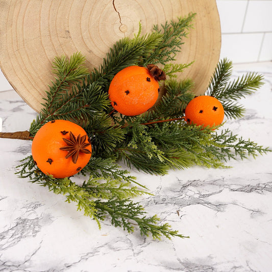 18In Evergreen Orange Clove Pick - Christmas Place