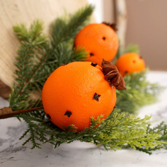 18In Evergreen Orange Clove Pick - Christmas Place