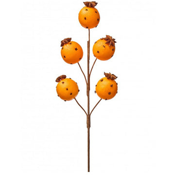 Orange With Clove Spray - Christmas Place