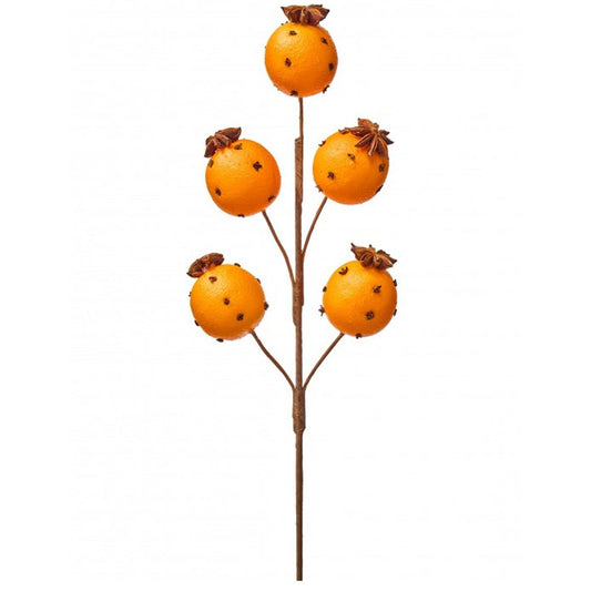Orange With Clove Spray - Christmas Place