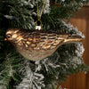 Gold Bird