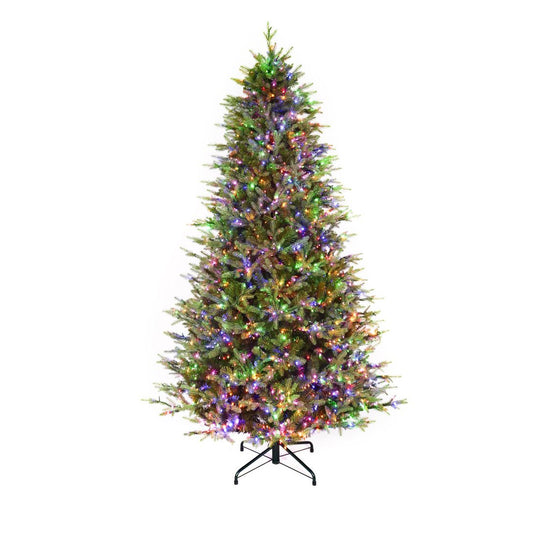 7.5Ft Rocky Mountain Fir