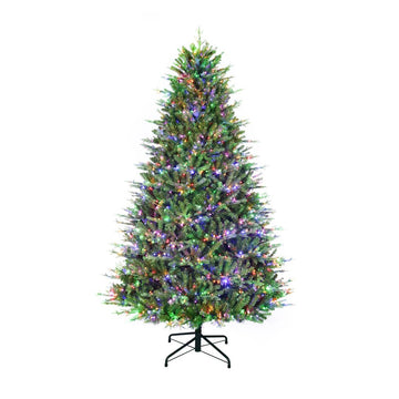 7.5Ft Royal Northern Fir