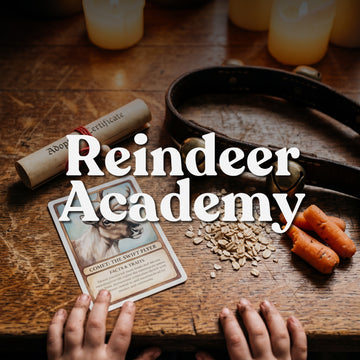 Santa's Reindeer Academy - Christmas Place