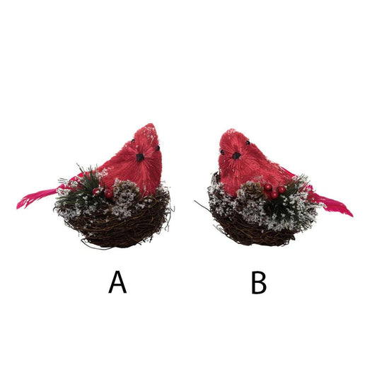 Sisal Cardinal In Nest