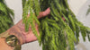 Real Touch Norfolk Pine Garland 60 inches Length