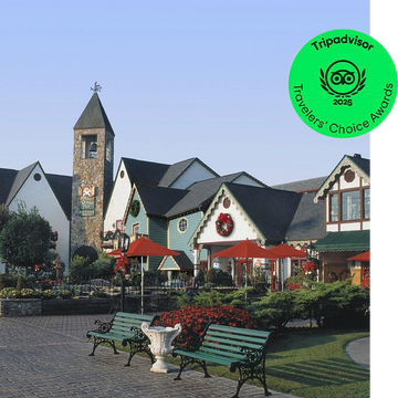 See what other visitors have to say