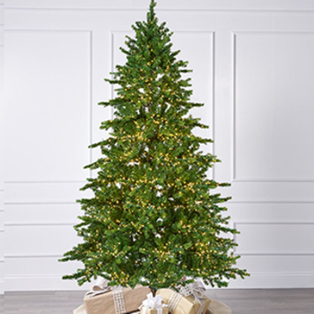 Galloway Spruce Christmas Tree