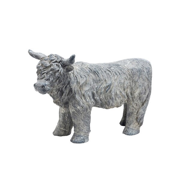 Highland Cow