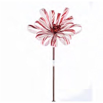 Red White Mum Flower