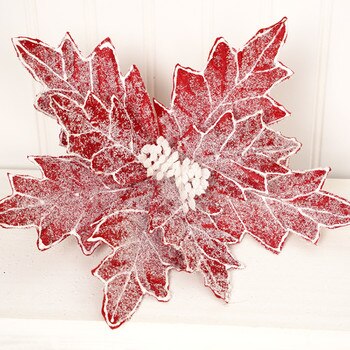 Red Frosted Edge Poinsettia