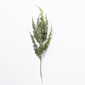 22IN Juniper Berry Spray-1