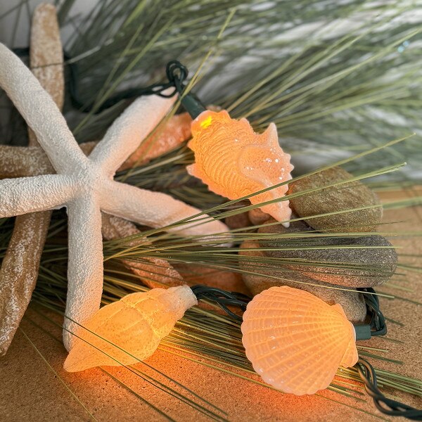 Seashell Light Set-2