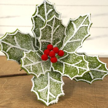 22 Inch Green Frost Poinsettia