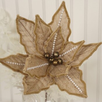 Natural Poinsettia Stem