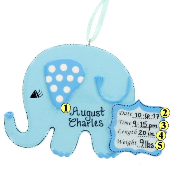 Baby Boy Elephant-2
