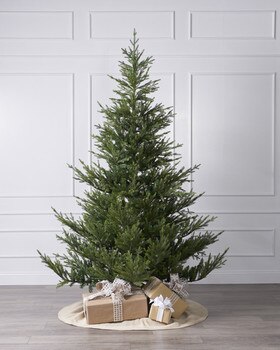 5ft Norway Spruce Tree-1