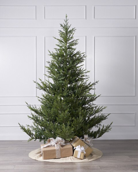 10ft Norway Spruce Tree-1