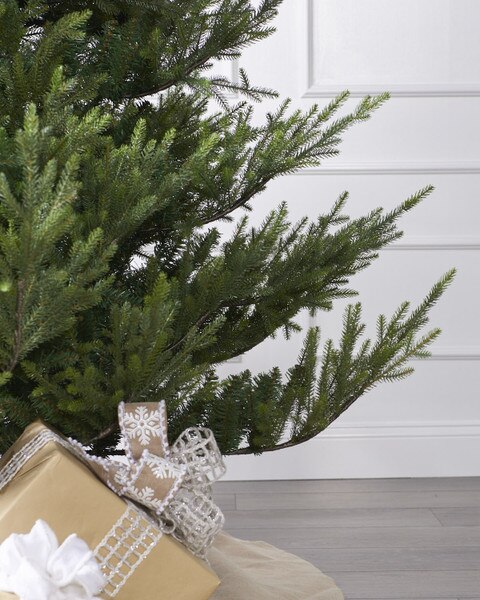 10ft Norway Spruce Tree-2
