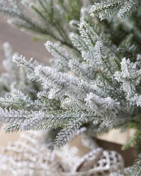 5ft Snowy Norway Spruce Tree-3