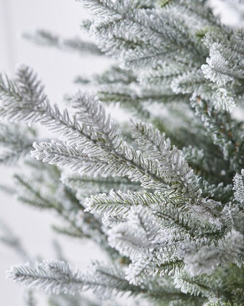 5ft Snowy Norway Spruce Tree-4