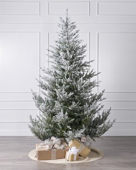 10ft Snowy Norway Spruce Tree-1