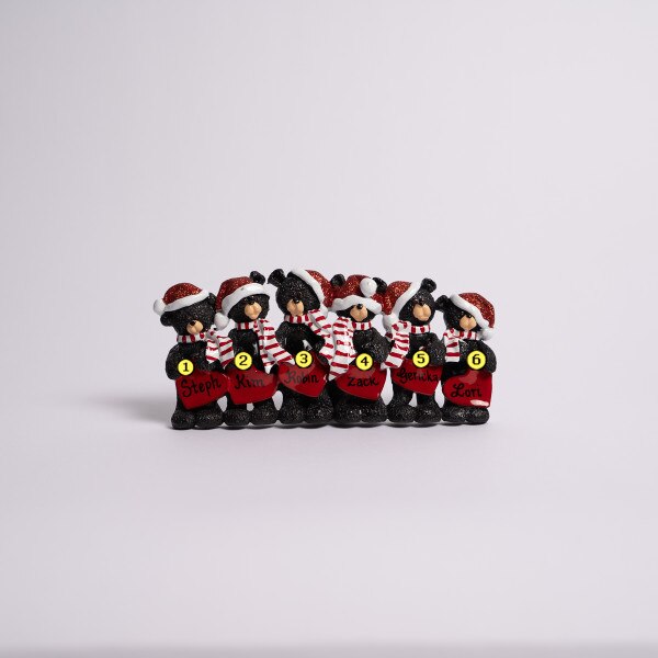Bear Hearts Family Of 6-3