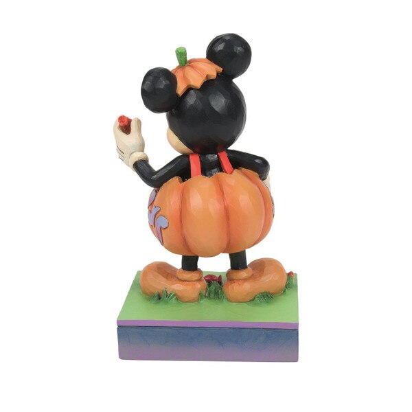 Mickey Pumpkin Costume-3