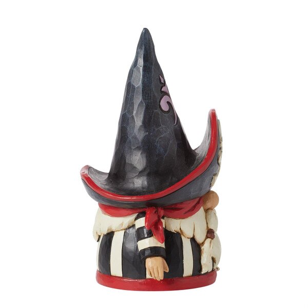 Pirate Gnome-2