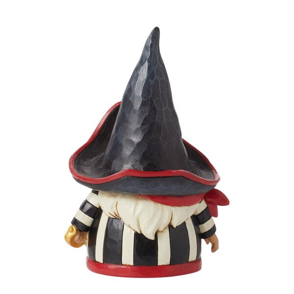 Pirate Gnome-3