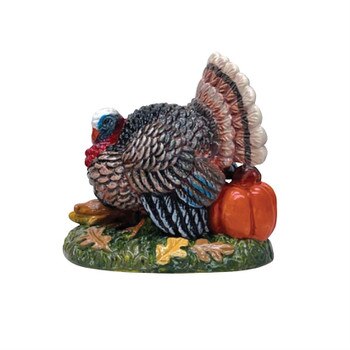 Tom Turkey