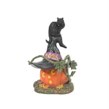 Feline Noir 2025