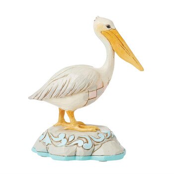 Pelican Bird