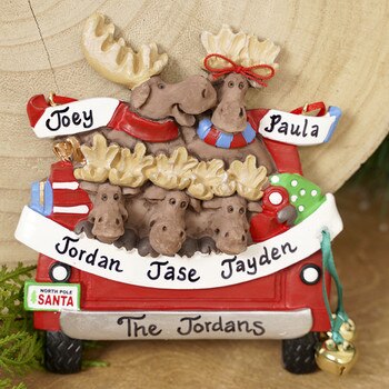 Moose Family in Car 5-1