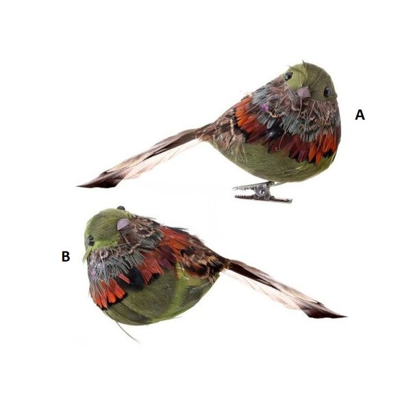 Aspen Feather Bird