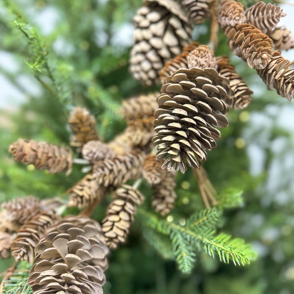 48 Inch Mix Cone Twig Garland