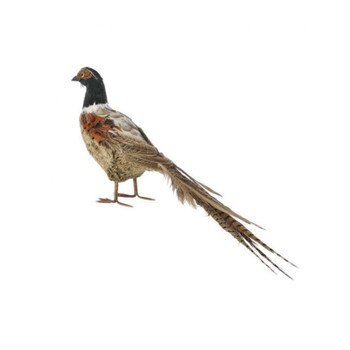 20 Inch Feather Pheasant