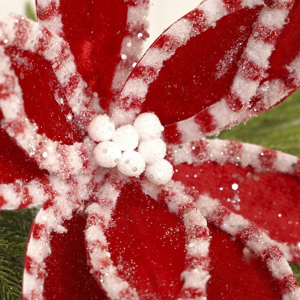 Red White Candy Glitter Poinsettia2