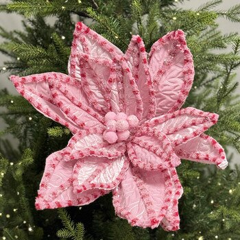 Pink Red Giant Poinsettia-1