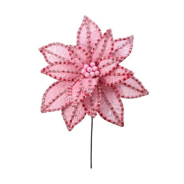 Pink Red Giant Poinsettia-3