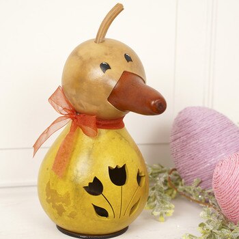Dillard Mini Gourd