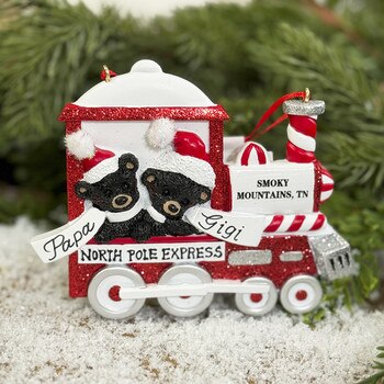 Smoky Mountain Bear Train 2-1