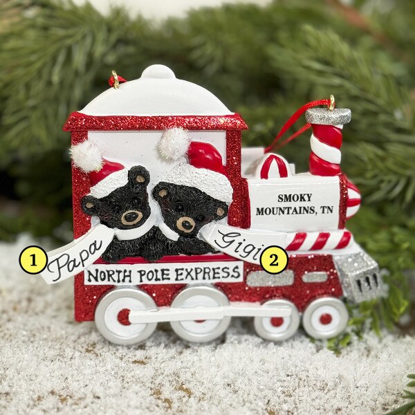 Smoky Mountain Bear Train 2-2