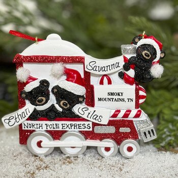 Smoky Mountain Bear Train 3-1
