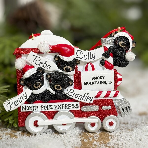 Smoky Mountain Bear Train 4-1