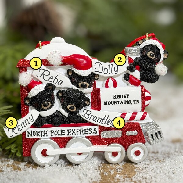 Smoky Mountain Bear Train 4-2