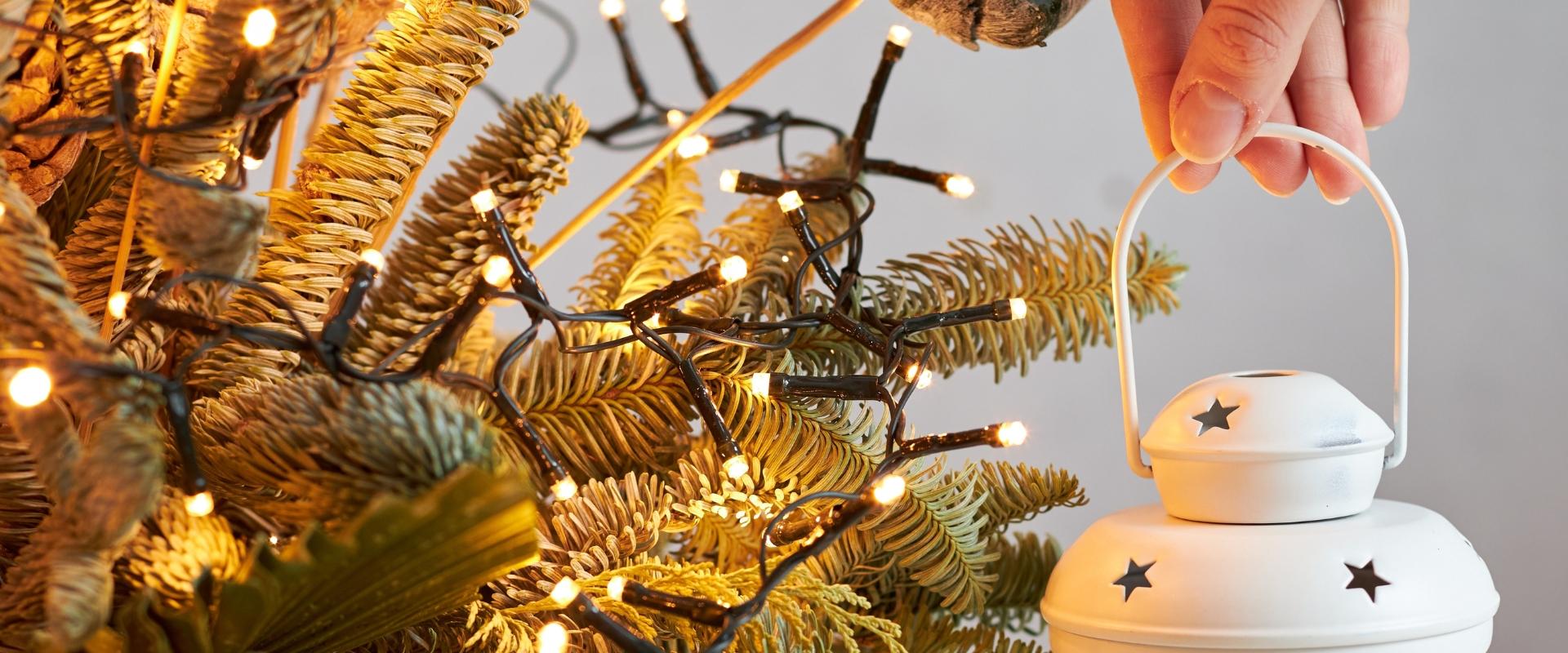 LED Christmas Light Sale