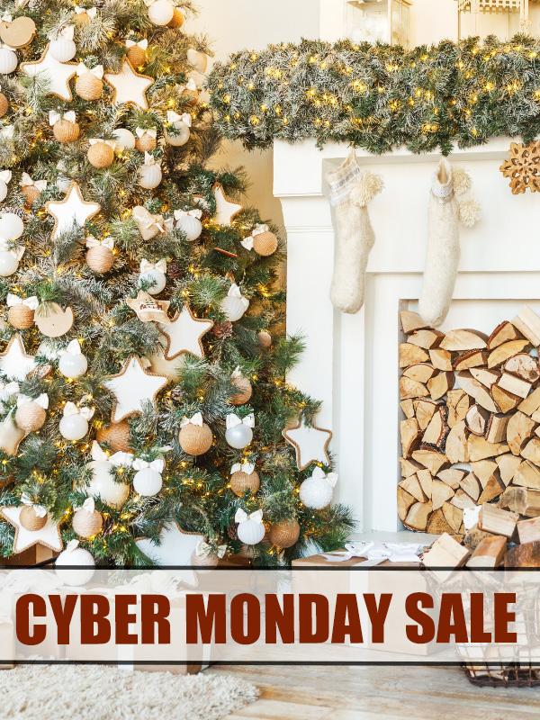 Cyber Monday Sale
