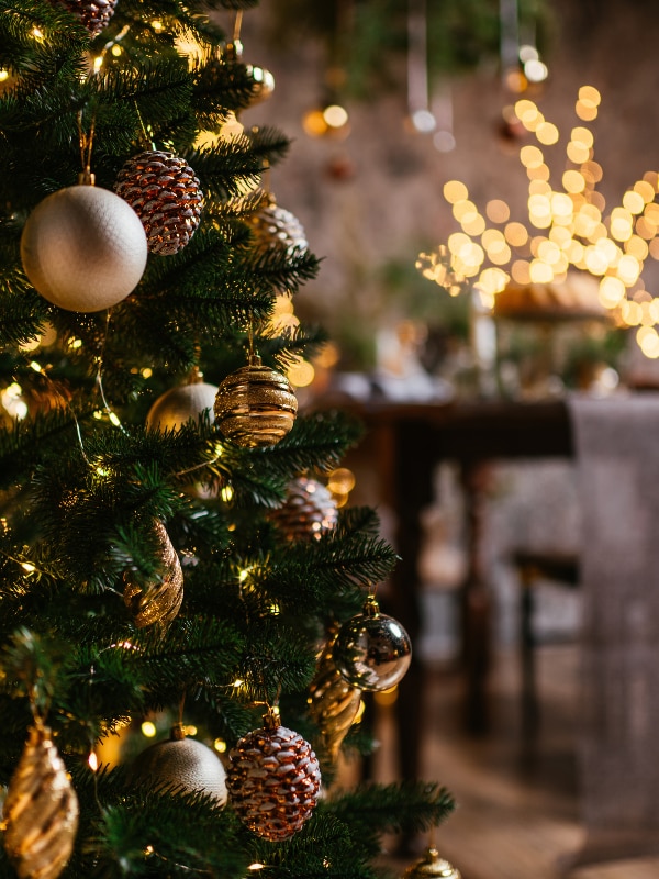 Christmas Place since 1986